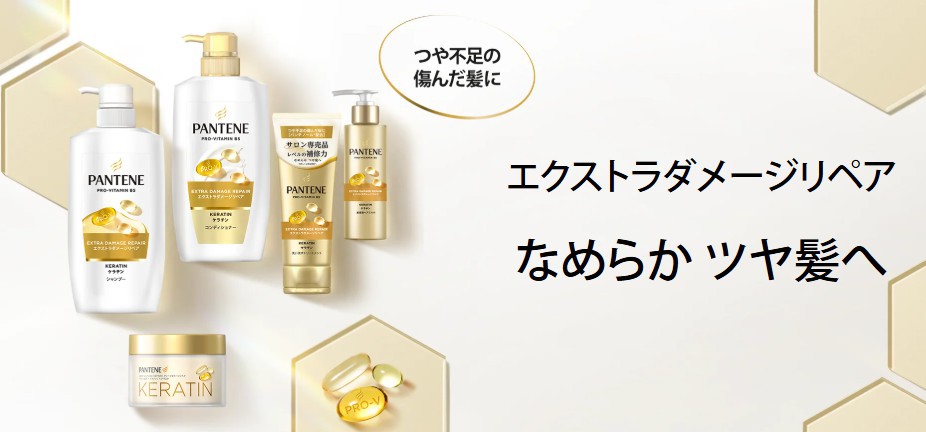 パンテーン エクストラダメージケア デイリー補修トリートメント 商品画像
