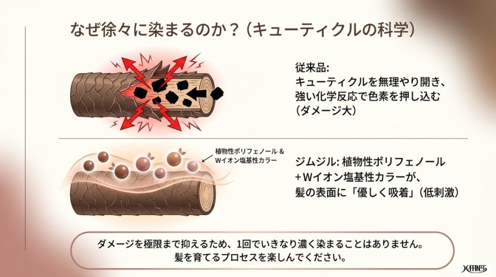ジムジルカラーシャンプーの染まり方タイムライン!口コミの答え合わせ