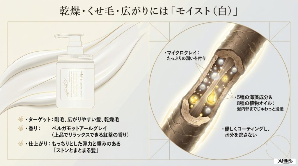 2026年最新】ココネシャンプーどれがいい？3種を徹底比較して髪質別