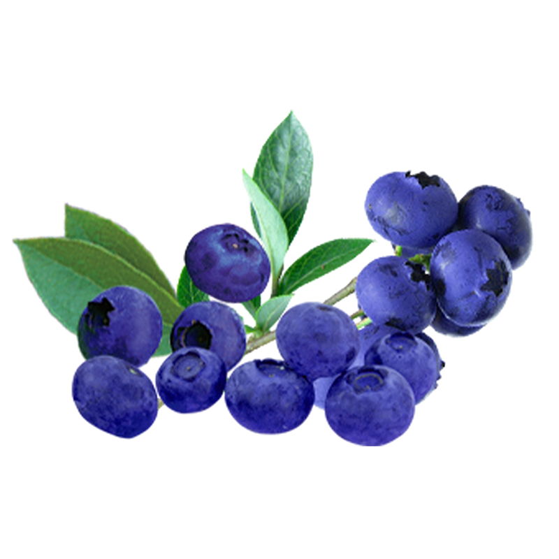 蓝莓