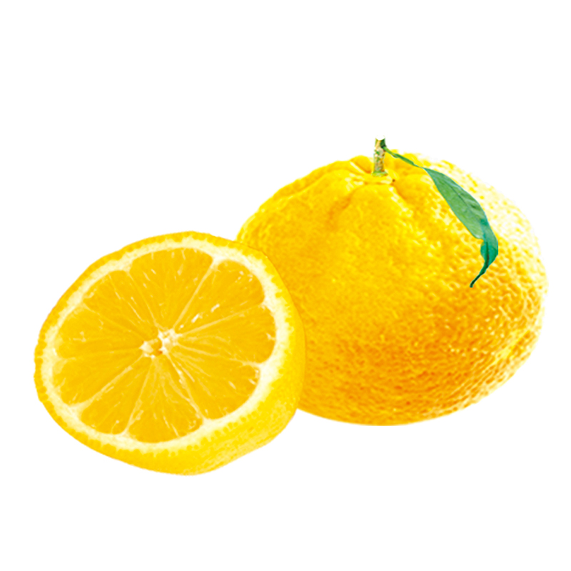 柚子